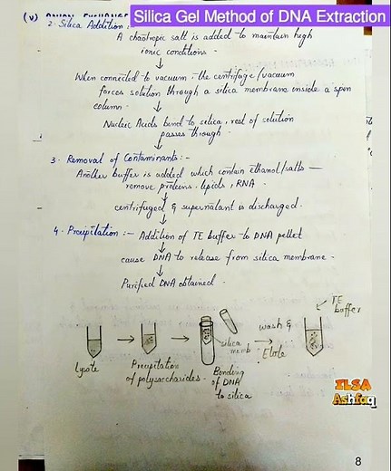 DNA Extraction Silica Gel Method / Spin column technique / Adsorption method | simple #molecular