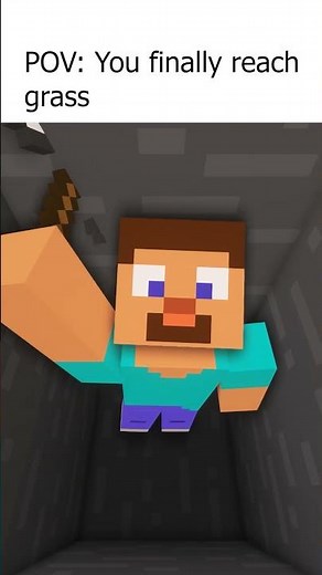 POV: You finally reach Grass