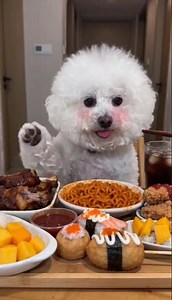 烹饪秘密大揭秘