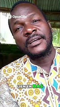 Artificial insemination of catfish: the technique that is revolutionizing breeding