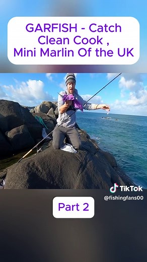 FISHING FANS on TikTok