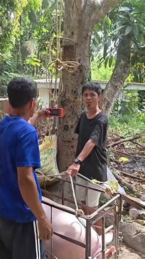 Tag Dos baynte ang keylo #funny #funnyvideo #comedy #comedyvideo #joke #couplvideo