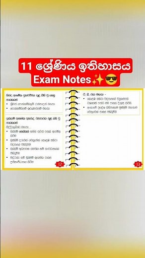 Grade 11 History Exam Notes 📝 | Quick Revision | A+🔥 #Grade11History #ExamNotes
