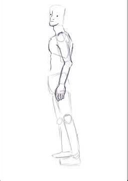 Learning Anatomy - Sketch