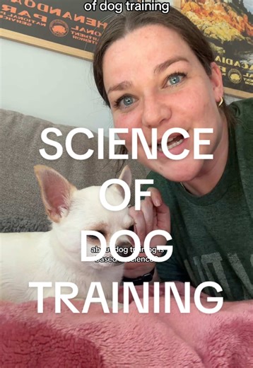 The Science Behind Effective Dog Training