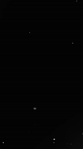 5 weeks old | NW Washington German Shepherds | Facebook