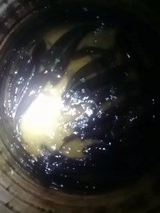 33K views · 415 reactions | EARTH Lovers MEDIA on Reels | Facebook