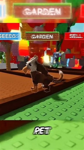 This how to get Griffin Pet in Grow A Garden #growagarden #raccoon #candyblossom #robloxfyp #Griffin | Grow a garden