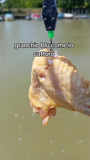 Come catturare il granchio blu con l'ala di pollo: guida passo passo