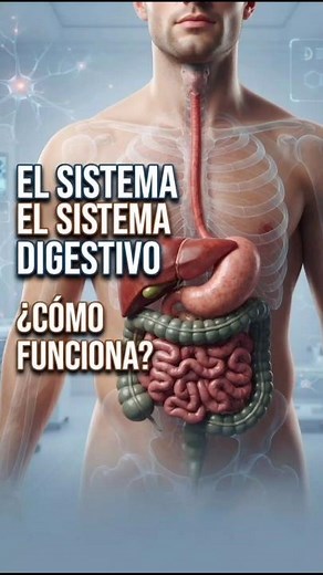 Human Digestive System 🫁 | Complete Digestive System Explained | Biology #HumanDigestiveSystem