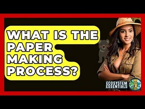 What Is The Paper Making Process? - Ecosystem Essentials