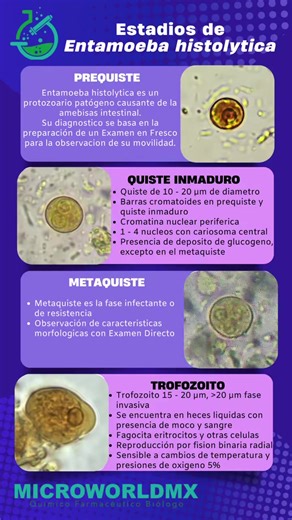 Parasitosis Intestinales por Protozoarios: Un Análisis Detallado