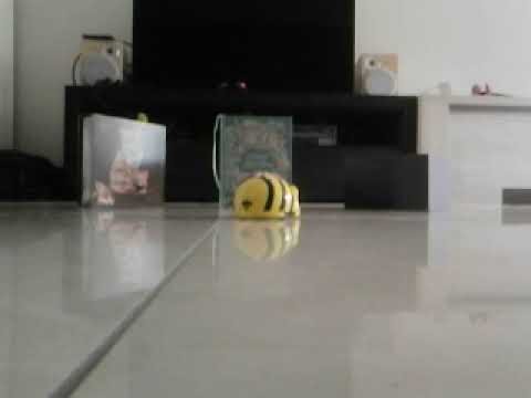 Stop-motion Bee-bot: Bee-bot speelt verstoppertje met jou