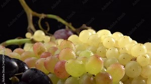 Fresh grapes of different varieties rotate as a background. Grape close up, concept winemaking, wine production, vine variety