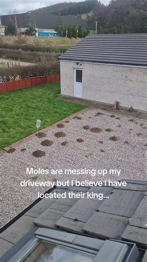 Discovering a Giant Molehill: Is It a Mole Mountain?