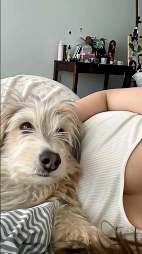 Girl Sleeping Peacefully with Her Dog | Cute Bedtime Moment | Viral Pet Bonding