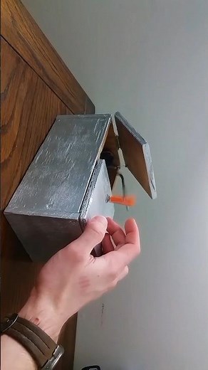 The Most Useless Box Ever 😂 | Useless Box Challenge (#shorts )