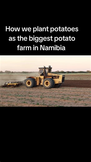 #candofarming #potato #namibia #potatoes #farming