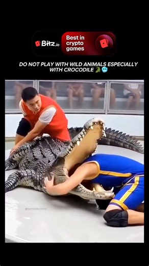 wierd_world on Instagram: "Crocodiles are formidable apex predators that have remained largely unchanged since the time of the dinosaurs, earning them the title of "living fossils." These semi-aquatic reptiles belong to the order Crocodylia and are characterized by their streamlined bodies, powerful tails, and armored skin. They are found in tropical regions across Africa, Asia, the Americas, and Australia, inhabiting both freshwater and saltwater environments. Unlike many other reptiles, crocod