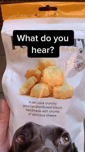 Can you hear them all? Took me some time to hear ‘nice one’ #soundillusion #tryit #justforfun #dogs #meetmypet #animallover