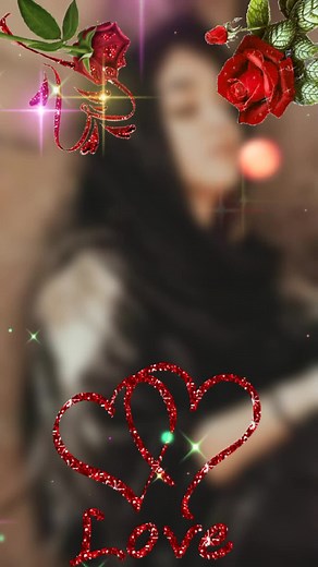 Vibrant Red Rose Images Celebrating Love