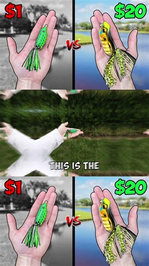 $1 vs $20 Frog Fishing Challenge! Budget Fishing Challenge
