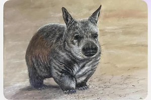 1.2K views · 274 reactions | update; FINAL bid is $700 From Ginger...