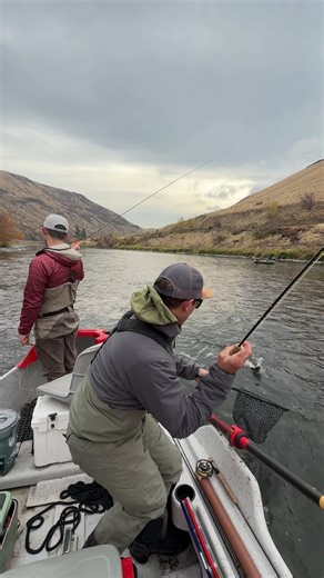 7.9K views · 98 reactions | 25 years later, and my Sage SLT 389-4...