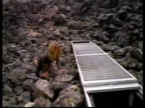 Idaho Transfer (1973) SCI-FI