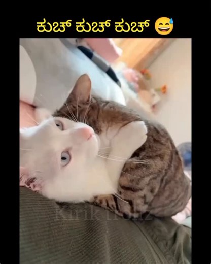 ಕಿರೀಕ್ ಟ್ರೋಲ್ಜ್ on Instagram: "#kiriktrollz"