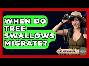 When Do Tree Swallows Migrate? - Bird Watching Diaries