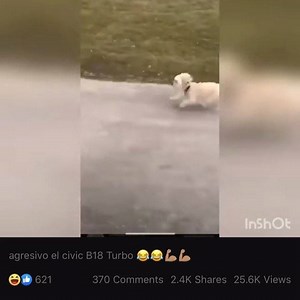 457K views · 7K reactions | Street Tuning. | HUMBLE PERFORMANCE | Facebook