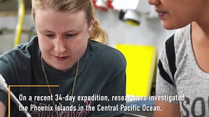 Glass octopus captured in rare footage by underwater robot