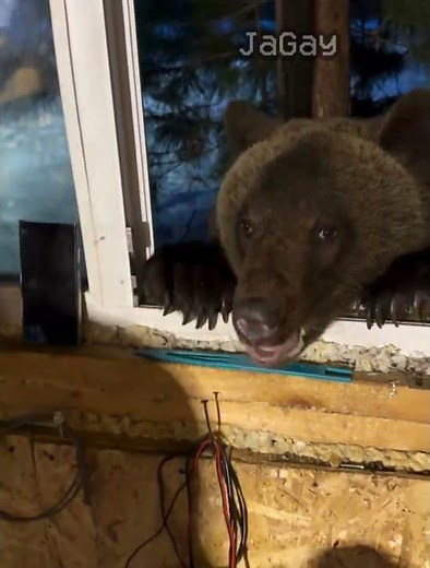 half life (1.0.3) (no effort) #halflife #halflife1 #shorts