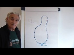 Understanding the Microcosmic Orbit