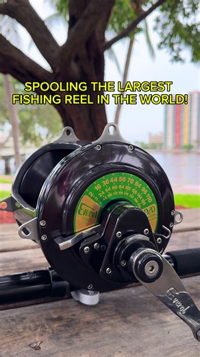 Spooling the LARGEST fishing reel in the world! #LandbasedSharkFishing #SharkFishing #Fishing #Outdoors #SharkWeek #FloridaFishing #NLBN #SaltwaterFishing #Tarpon #Snook #FishTok #SharkAttack #BridgeFishing #HammerheadShark #TigerShark #Everol #EverolReels #BarrettRods