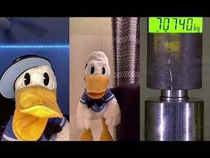 Donaldducc vs el.ducky