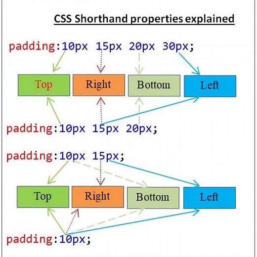 CSS Padding Explained in 30 Seconds! #Shorts | Padding in CSS | Quick & Easy