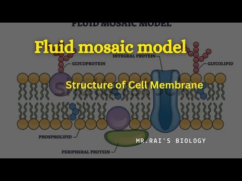 Fluid mosaic model
