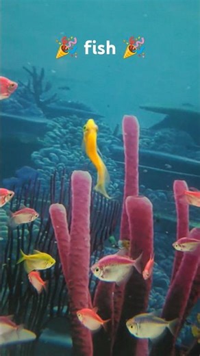 fish swimming 🎉😎in ###funny #music