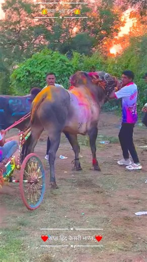 sagar kalbhor 001 on Instagram: "#bharat"