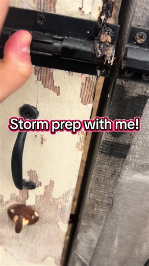 #stormprep #sahm #fyp #southern #chickensoftiktok