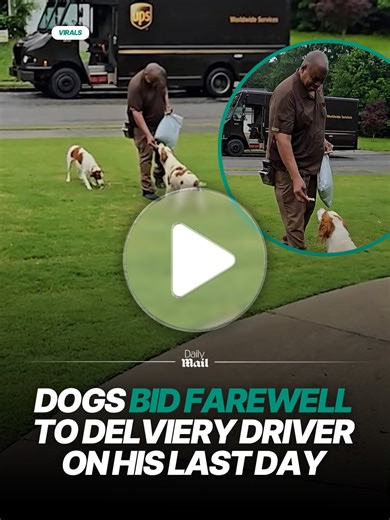 Heartwarming Story of a Delivery Driver and Dogs
