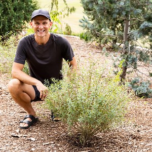 67K views · 3.2K reactions | A few weeks ago, I planted some new items at Mom's house, and I haven't had a chance to edit the video and publish it. So, while these plants have been in the ground for a bit, I wanted to take you through the process. I hope it provides some inspiration. I planted: - Sun King Aralia - Japanese Forest Grass - Elderberry - Dwarf Blue Leaf Arctic Willow | Wyse Guide | Facebook