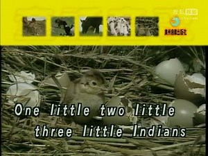 佚名《The Little Indian Boys》