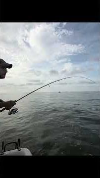 POV: Nice Redfish Caught in Dularge, Louisiana (Inshore Fishing)