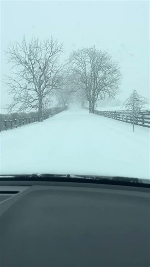 McCrackin Pike in Woodford County. Snow storm Jan 2026 - Whiteout