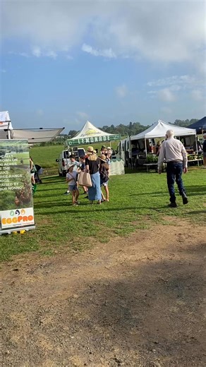 Camden produce market is in now at Camden Town Farm the sun is shining plenty of stalls | Camden Fresh Produce Markets
