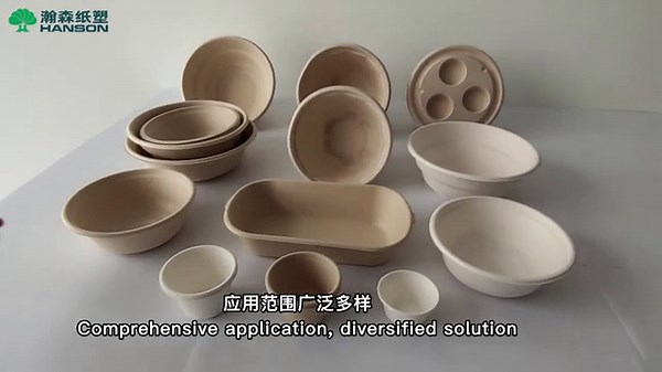 Sugarcane Bagasse Bowl Making Machine--Fit For Eco-friendly Bagasse Pulp Plate/Bowl