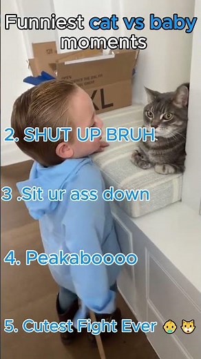 😹 Cats vs Babies Compilation | Funniest Moments Ever 👶🐱